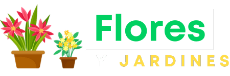 Flores y Jardines